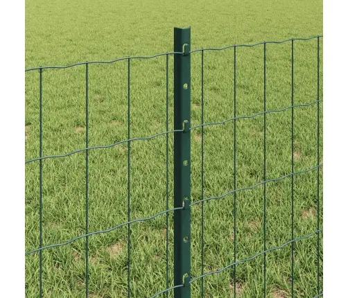 Aed Ja Post Roheline 0,6 X 50 M Teras