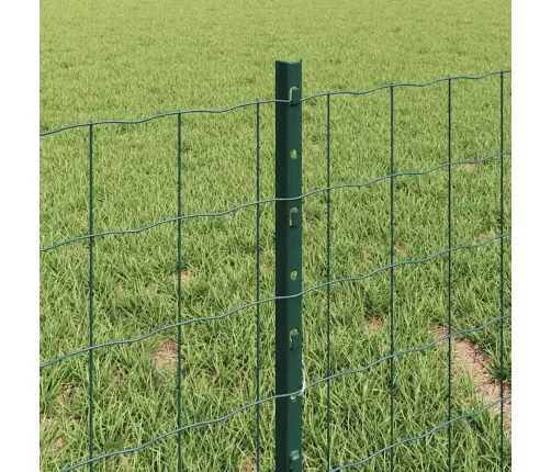 Eiro Žogs Ar 5 U Veida Stabiem Zaļā Krāsā 0,4X10 M Tērauds Vidaxl