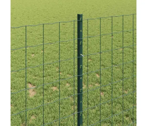 Aed Koos Postiga Roheline 1 X 25 M Teras