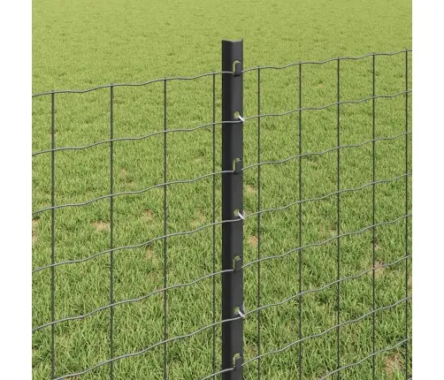 Eiropas Žogs Ar 5 U Stabiem Pelēks 0,8X10 M Tērauds Vidaxl