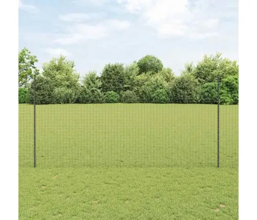 Eiropas Žogs Ar 10 U Stabiem Pelēks 1,5X10 M Tērauds Vidaxl