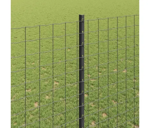 Eiropas Žogs Ar 10 U Stabiem Pelēks 1,5X10 M Tērauds Vidaxl