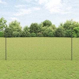 Žogs Ar Stabiem. Pelēka 1.6 X 10 M Tērauds Vidaxl