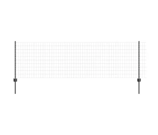 Eiro Žogs Ar 5 U Stabiem Pelēkā Krāsā 0.8X10 M Tērauds Vidaxl