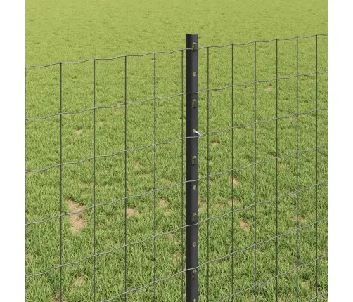 Aed Koos Postiga Hall 1 X 10 M Terased Ja Pvc