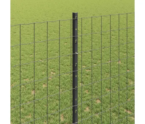 Aed Koos Postiga Hall 1,4 X 10 M Terased Ja Pvc