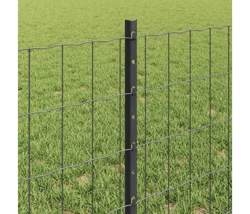 Eiropas Žogs Ar 5 U Pāļiem Pelēks 0.6X10 M Tērauds Vidaxl