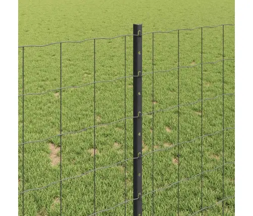 Eiropas Žogs Ar 10 U Stabiem Pelēks 1X10 M Tērauds Vidaxl