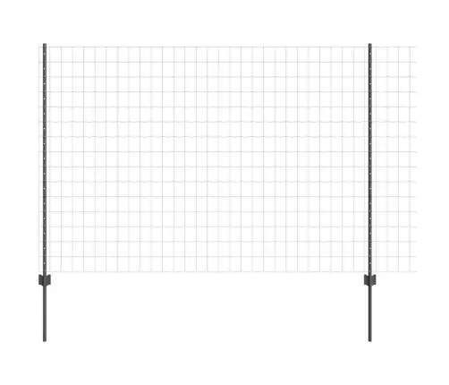 Aed Koos Postiga Hall 1,5 X 10 M Terased Ja Pvc