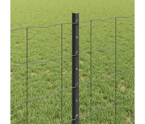 Aed Koos Postiga Hall 0,8 X 10 M Teras