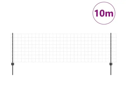 Aed Ja Post Hall 0,8 X 10 M Teras