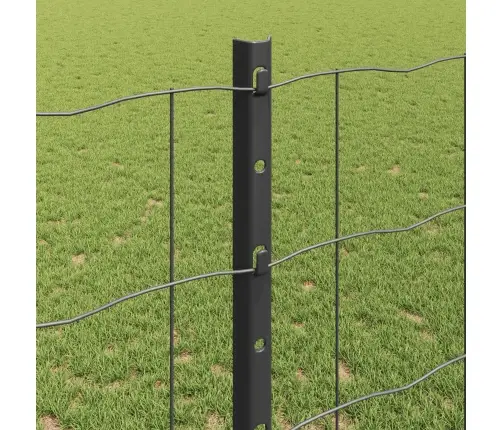 Eiropas Žogs Ar 10 U Balstiem Pelēks 1.2X10 M Tērauds Vidaxl