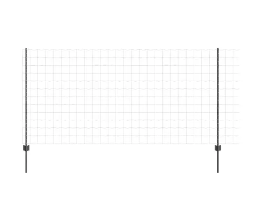 Eiropas Žogs Ar 10 U Balstiem Pelēks 1.2X10 M Tērauds Vidaxl
