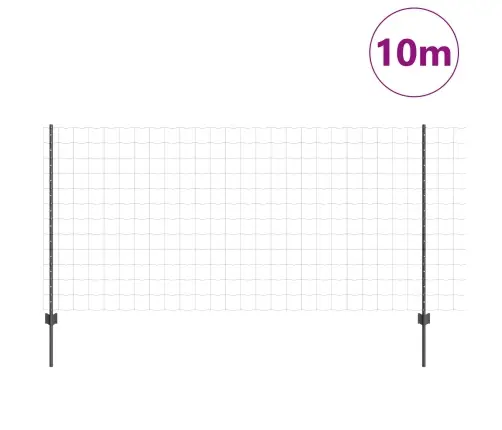Eiropas Žogs Ar 10 U Balstiem Pelēks 1.2X10 M Tērauds Vidaxl