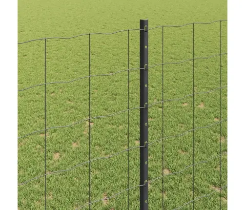 Eiropas Žogs Ar 10 U Stabiem Pelēks 1,4X10 M Tērauds Vidaxl