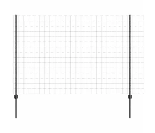 Aed Koos Postidega Hall 1.5 X 10 M Teras