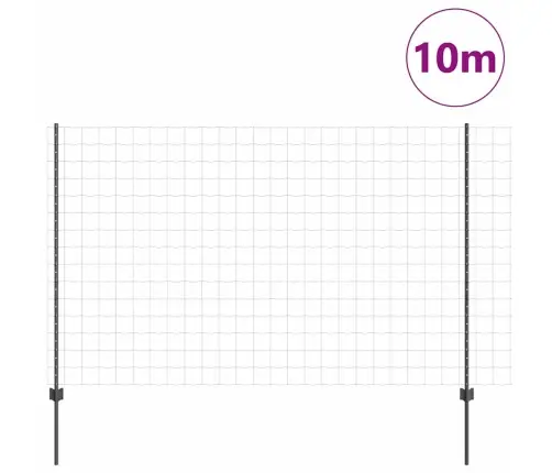 Aed Ja Post Hall 1,6 X 10 M Teras