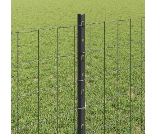 Eiropas Žogs Ar 11 U Balstiem Pelēks 0,8X25 M Tērauds Vidaxl