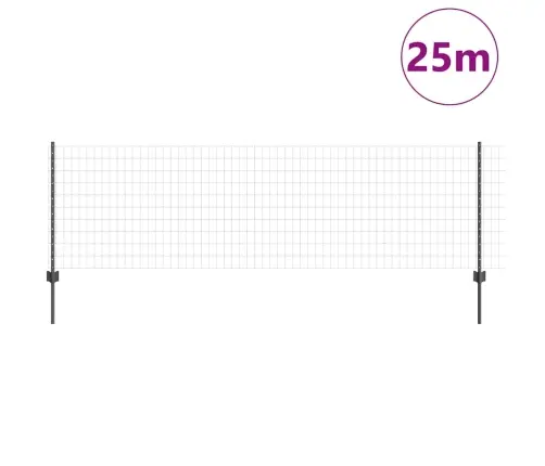 Eiropas Žogs Ar 11 U Balstiem Pelēks 0,8X25 M Tērauds Vidaxl