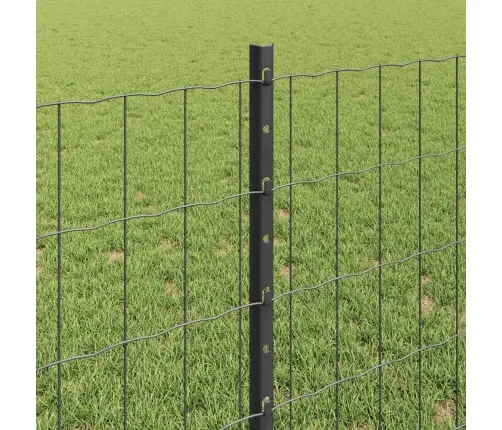 Eiropas Žogs Ar 11 U Stabiem Pelēks 0,8X25 M Tērauds Vidaxl