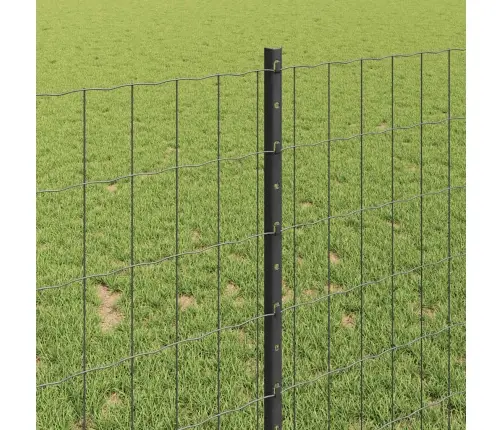 Eiropas Žogs Ar 22 U Stabiem Pelēks 1X25 M Tērauds Vidaxl Eiropas Žogs Ar 22 U Stabiem Pelēks 1X25 M Tērauds Vidaxl