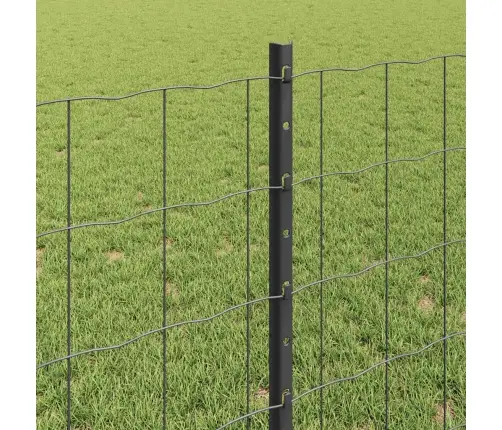 Euro Žogs Ar 11 U Stabiem Pelēks 0,8X25 M Tērauds Vidaxl