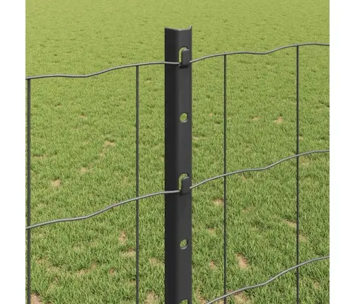 Eiropas Žogs Ar 22 U Stabiem Pelēks 1,2X25 M Tērauds Vidaxl