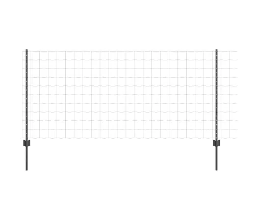 Aed Koos Postidega Hall 1 X 25 M Teras