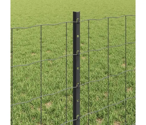 Eiro Žogs Ar 22 U Stabiem Pelēks 0,6X50 M Tērauds Vidaxl