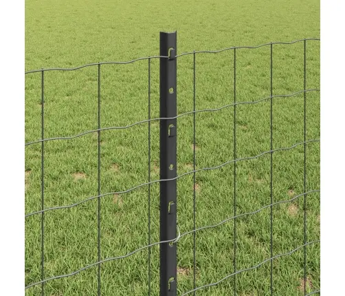 Tvora Su Stulpais Pilka 0,8 X 10 M Plienas