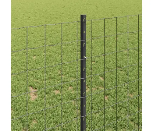 Tvora Su Stulpais Pilka 1 X 10 M Plienas