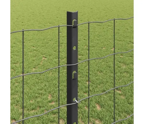 Aed Koos Postidega Hall 1.2 X 10 M Teras Aed Koos Postidega Hall 1.2 X 10 M Teras