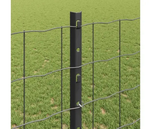 Eiropas Žogs Ar 10 U Stabiem Pelēks 1,2X10 M Tērauds Vidaxl