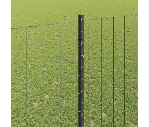 Euro Žogs Ar 10 U Stabiem Pelēkā Krāsā 1,5X10 M Tērauds Vidaxl