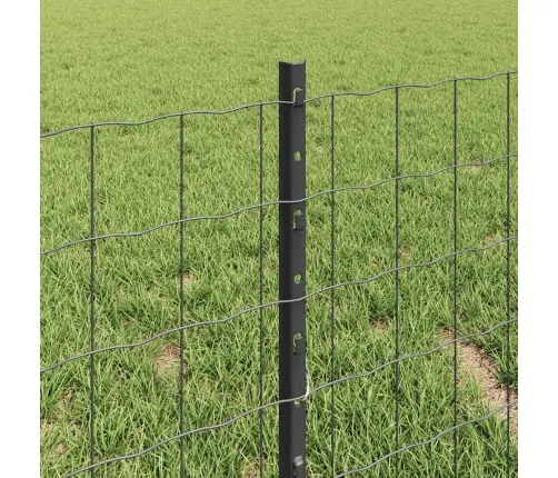 Eiro Žogs Ar 11 U Stabiem Pelēks 0,4X25 M Tērauds Vidaxl