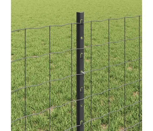 Tvora Su Stulpais Pilka 0.6 X 25 M Plienas