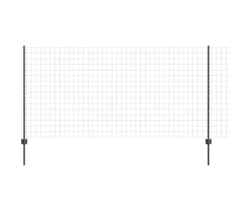 Aed Koos Postiga Hall 1,2 X 25 M Teras