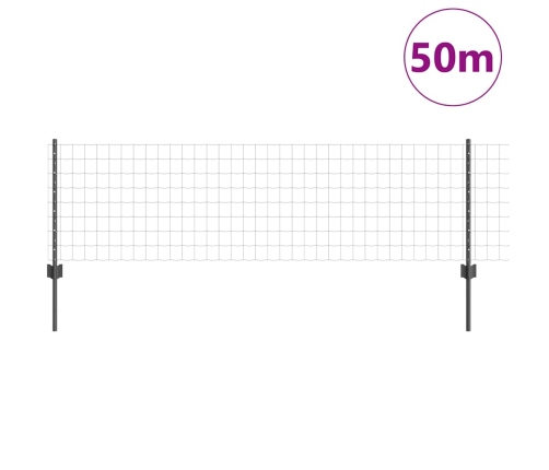 Tvora Su Stulpais Pilka 0.6 X 50 M Plienas