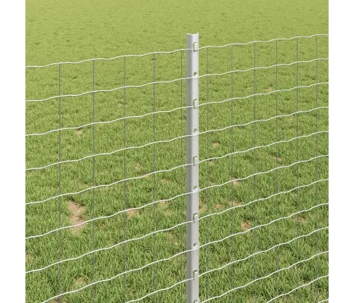 Euro Žogs Ar 10 U Stabiem Sudrabs 1X10 M Tērauds Vidaxl