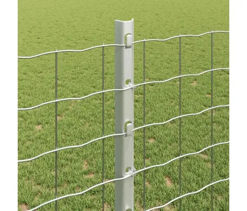 Aed Koos Postiga Hõbedane 1,2 X 10 M Teras