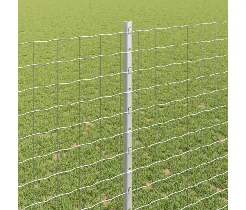 Eiro Žogs Ar 10 U Stabiem Sudrabs 1,4X10 M Tērauds Vidaxl