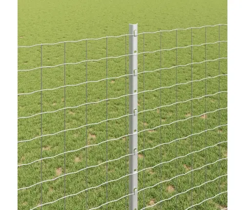 Aed Koos Postiga Hõbedane 1,6 X 10 M Teras