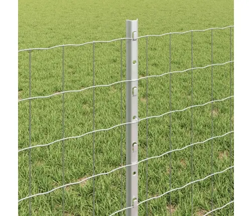 Euro Žogs Ar 5 U Stabiem Sudrabs 0,6X10 M Tērauds Vidaxl