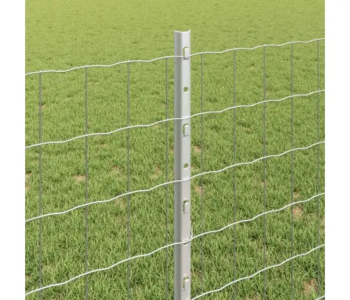 Eiro Žogs Ar 5 U Stabiem Sudraba 0,8X10 M Tērauds Vidaxl