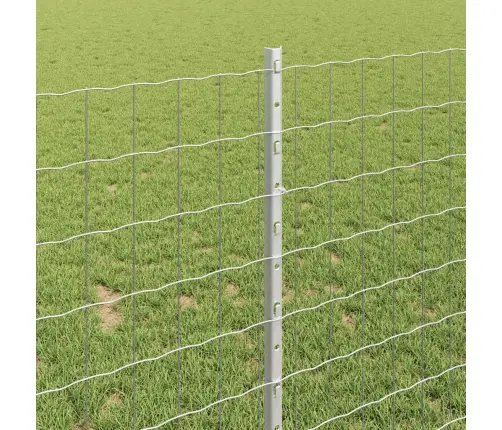 Eiro Žogs Ar 10 U Stabiem Sudrabs 1X10 M Tērauds Vidaxl