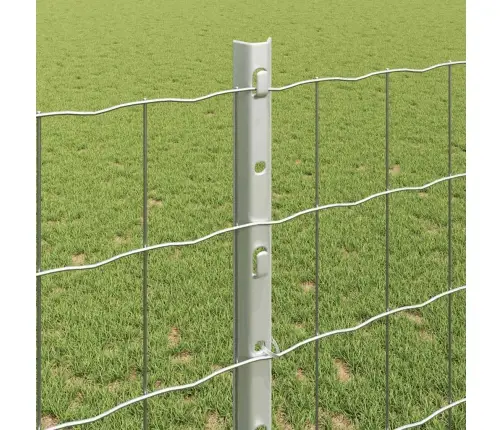 Aed Koos Postidega Hõbedane 1.2 X 10 M Teras