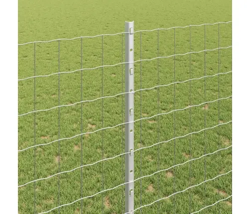 Aed Koos Postiga Hõbedane 1,4 X 10 M Teras