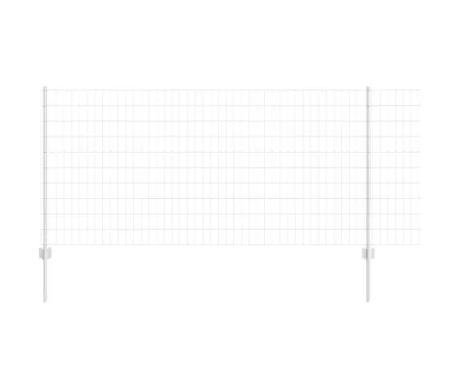 Aed Koos Postiga Hõbedane 1 X 10 M Teras