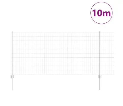 Aed Koos Postiga Hõbedane 1 X 10 M Teras