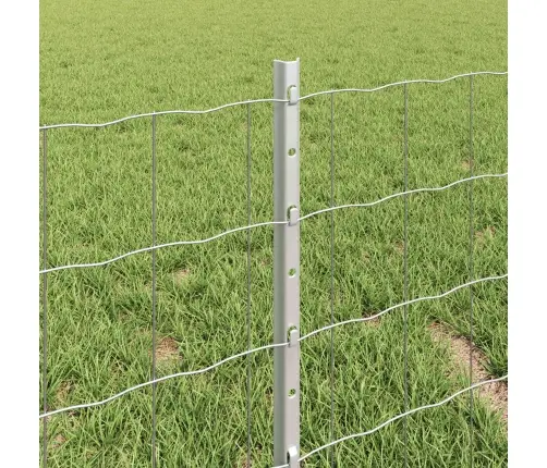 Euro Žogs Ar 5 U Stabiem Sudrabs 0,4X10 M Tērauds Vidaxl